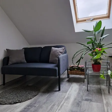 Nefelejcs Vendeghaz Guest house