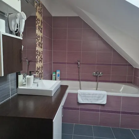 Nefelejcs Vendeghaz Guest house *
