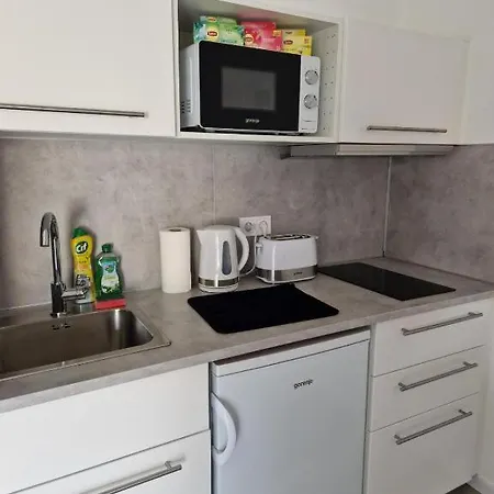 Nefelejcs Vendeghaz Guest house Godollo