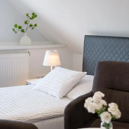 Nefelejcs Vendeghaz Guest house 3*
